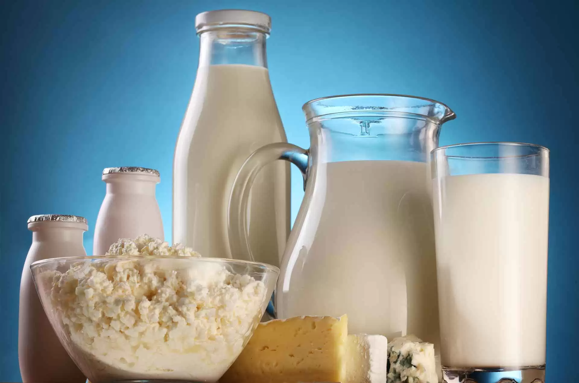 Фактическое молоко. Молочная продукция. Молочные изделия. Кисломолочная продукция. Сырье для молочных продуктов.